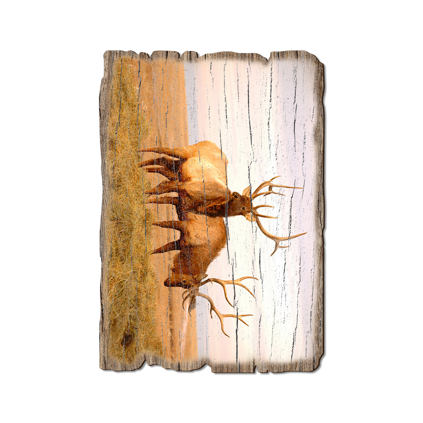 Ornament: Weathered Edge - Bull Elk (Pack of 5)