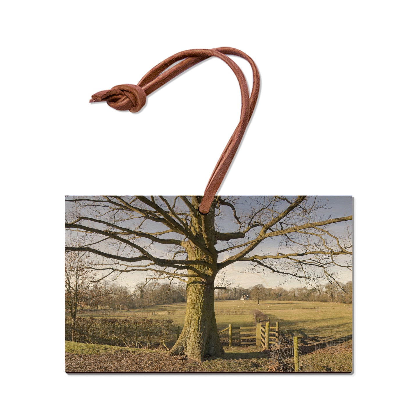 Big Oak - Magnet Classic Edge Ornament (5pk // $2.80ea)