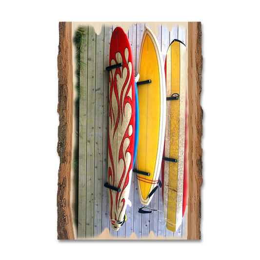 Magnet: Live Edge - Board Walk