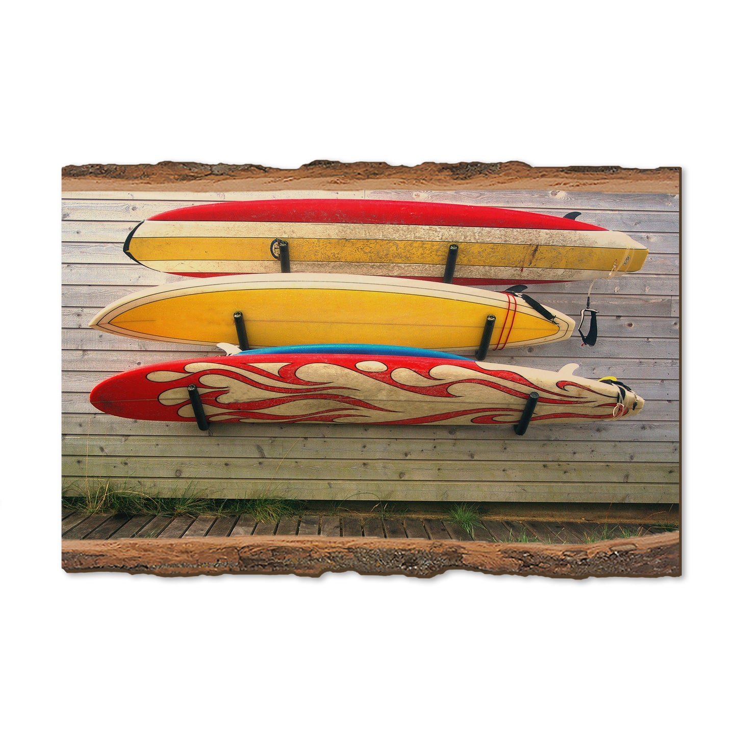 Board Walk - Live Edge Magnet Live Edge Postcard (5pk // $2.80ea)