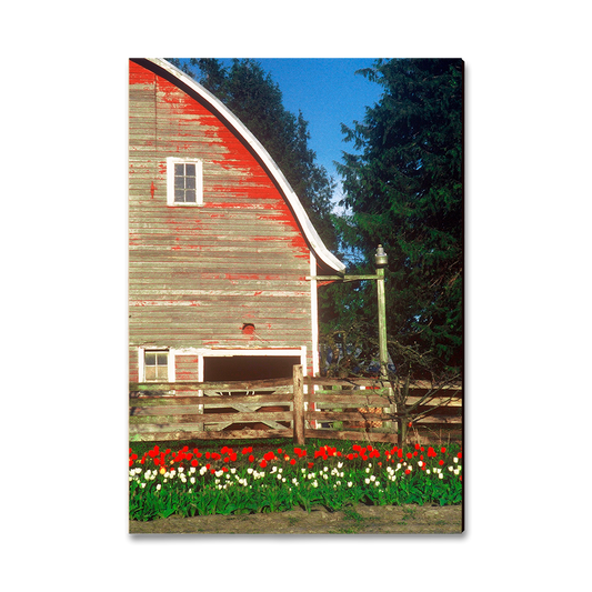 Magnet: Classic Edge - Barn Yard