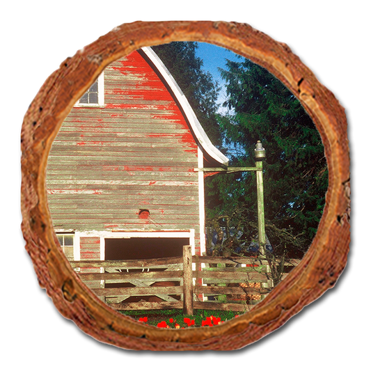 Coaster: Live Edge - Barn Yard