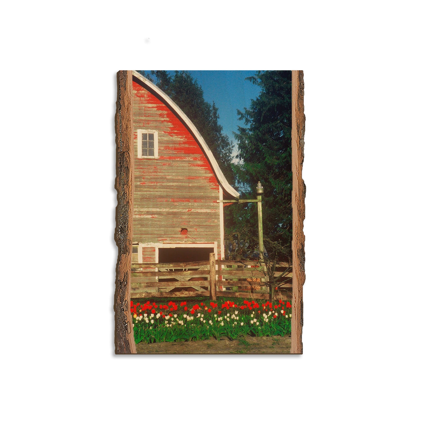 Barn Yard - Live Edge Magnet Live Edge Magnet (5pk // $2.80ea)