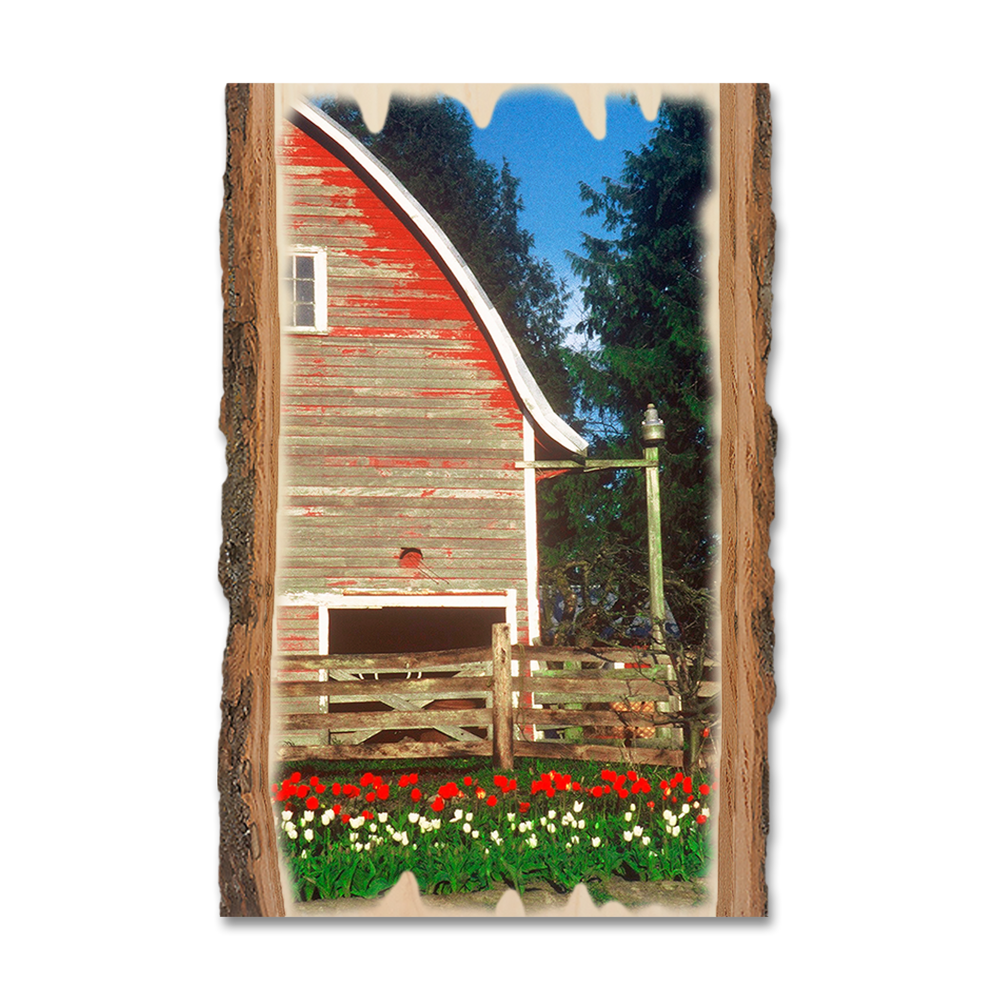 Ornament: Live Edge - Barn Yard