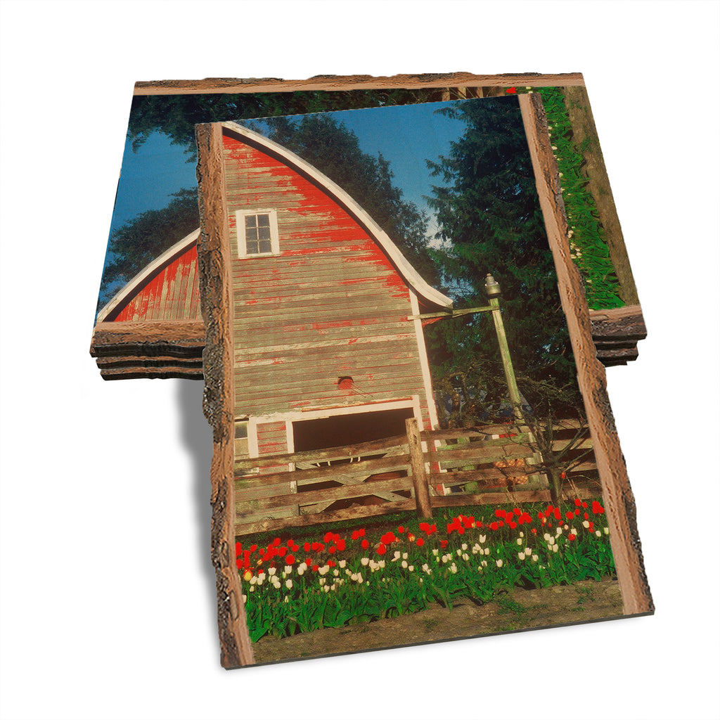 Barn Yard - Live Edge Live Edge Postcard (5pk // $2.80ea)