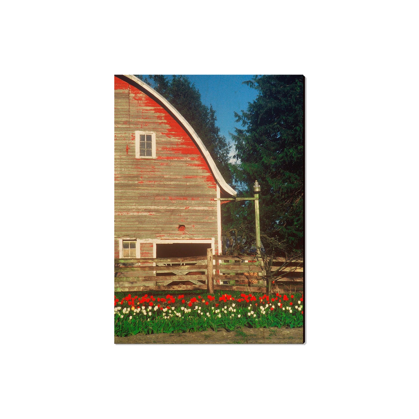 Barn Yard - Magnet Classic Edge Magnet (5pk // $2.80ea)