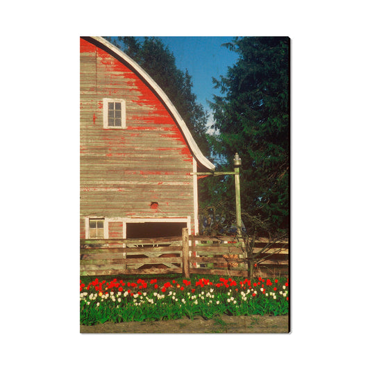 Barn Yard - Magnet Classic Edge Postcard (5pk // $2.80ea)