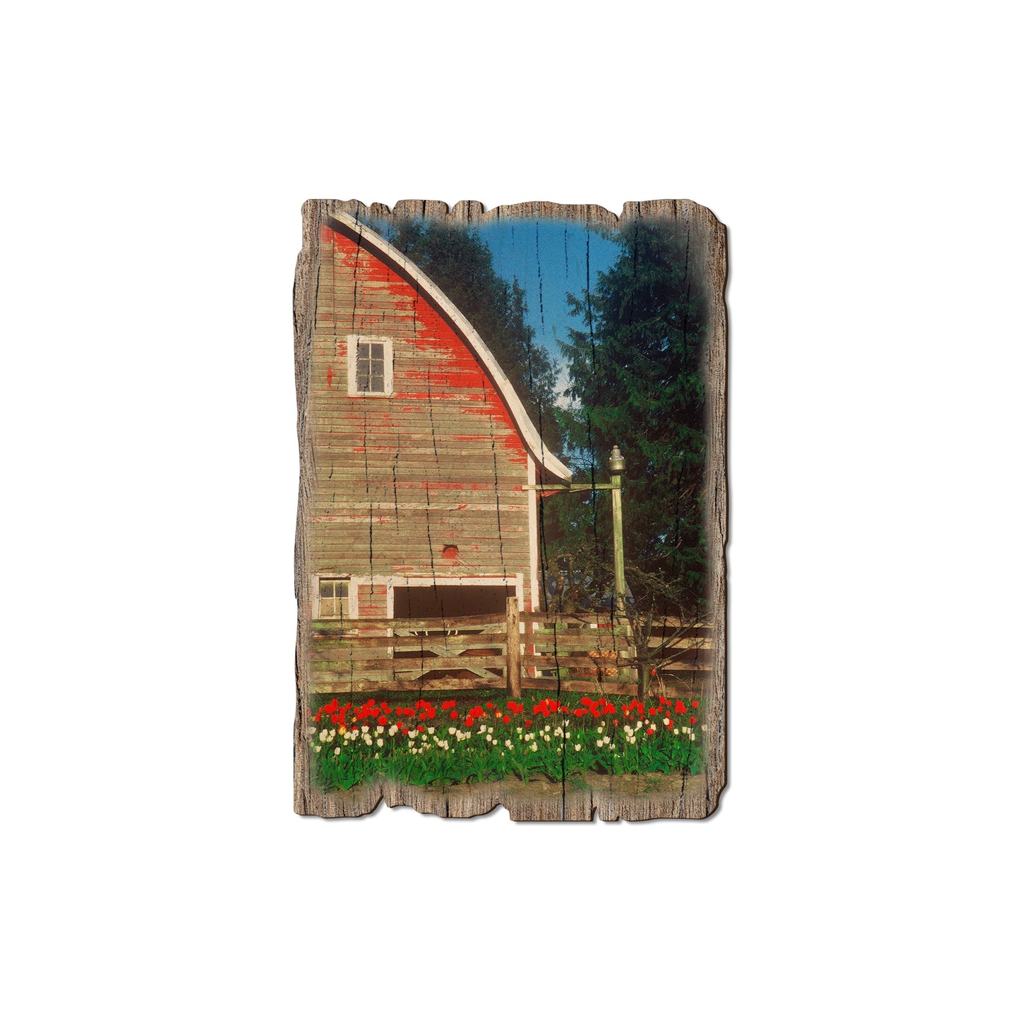 Barn Yard - Weathered Edge Magnet Weathered Edge Magnet (5pk // $2.80ea)
