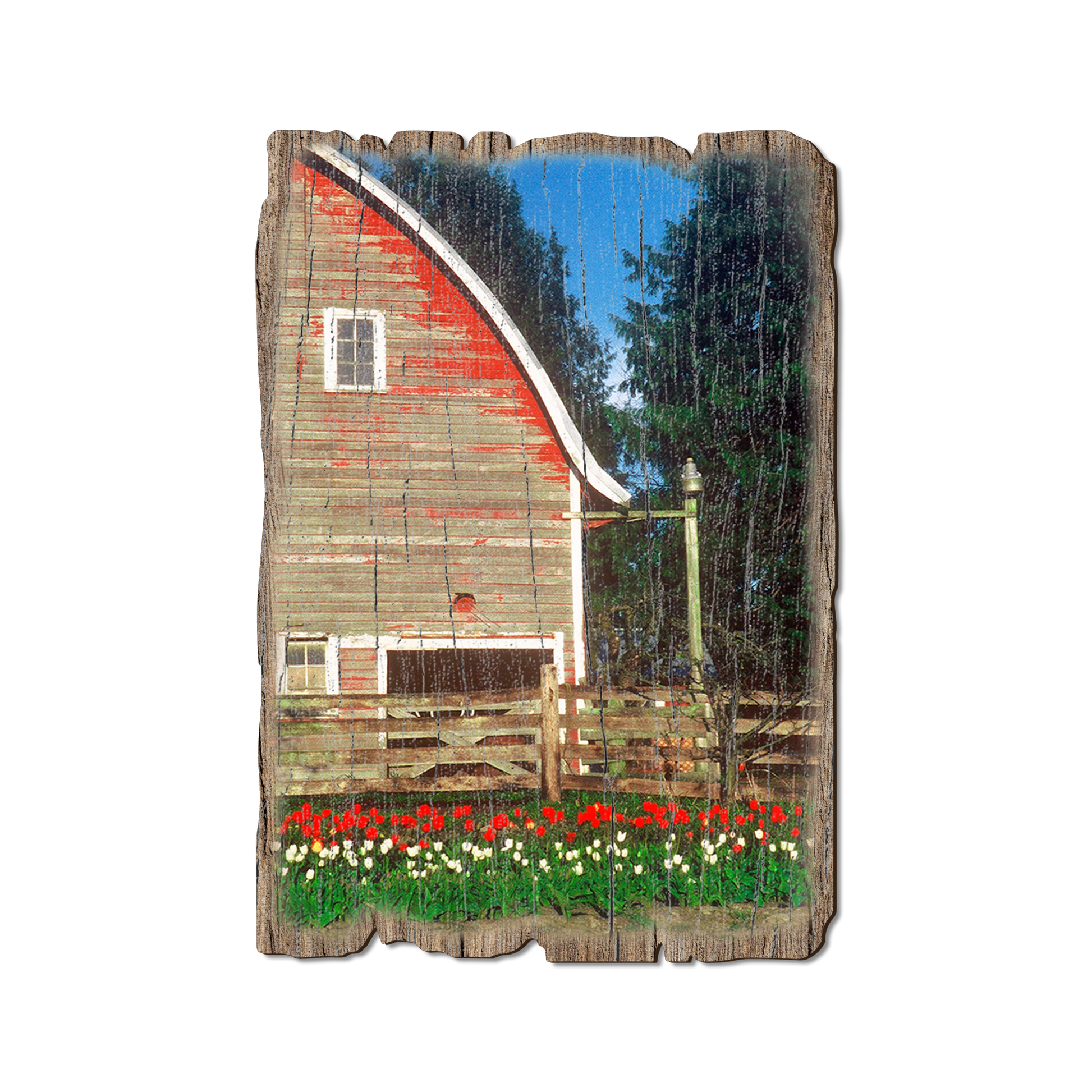 Postcard: Weathered Edge - Barn Yard