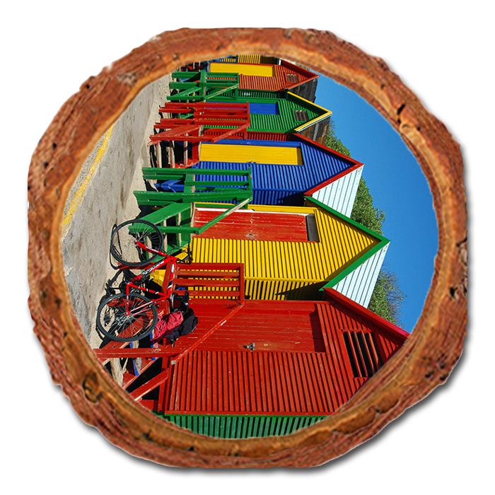 Coaster: Live Edge - Colored Cabanas