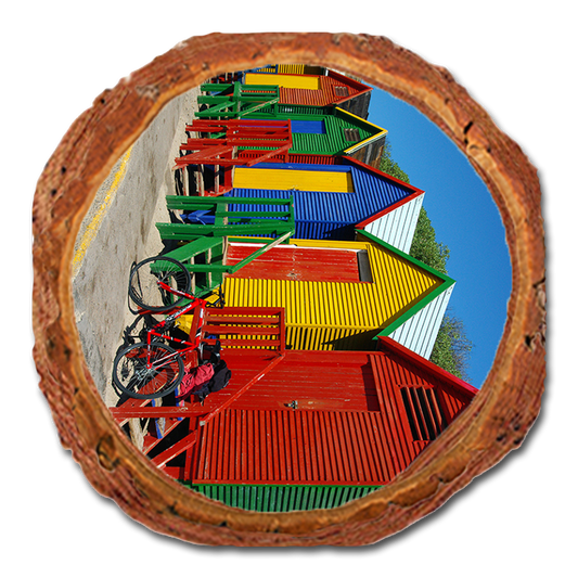 Coaster: Live Edge - Colored Cabanas