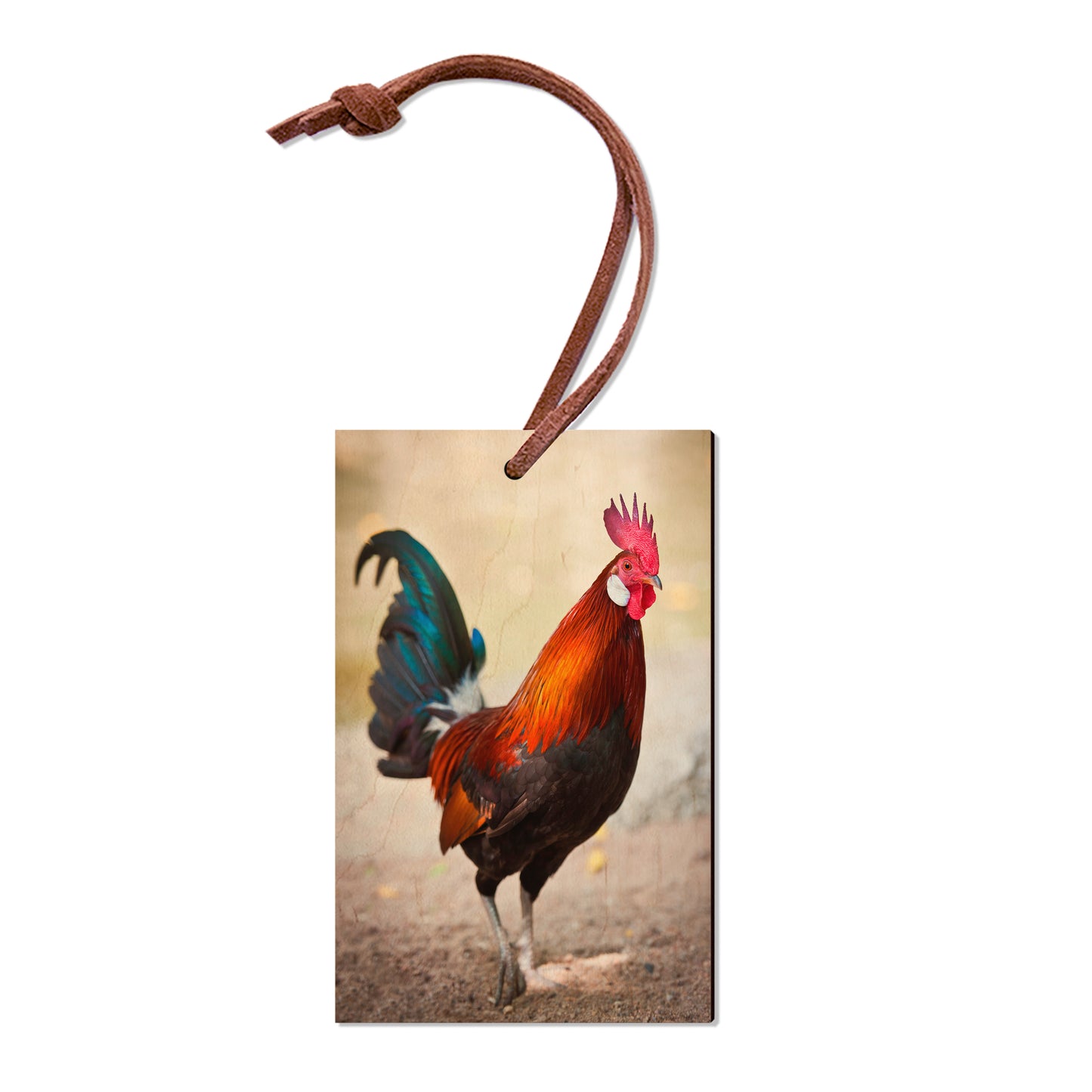 Colorful Rooster - Magnet Classic Edge Ornament (5pk // $2.80ea)