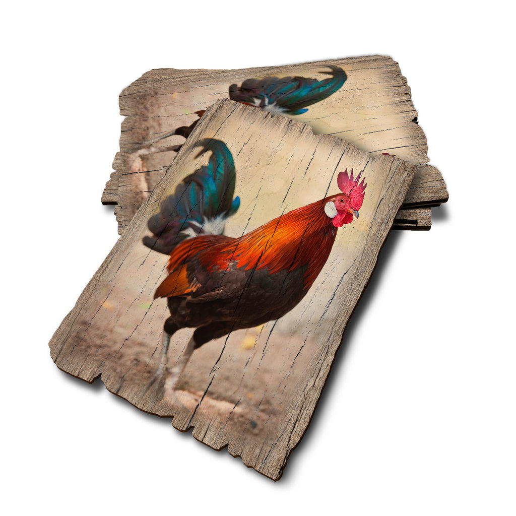 Colorful Rooster - Weathered Edge Weathered Edge Postcard (5pk // $2.80ea)