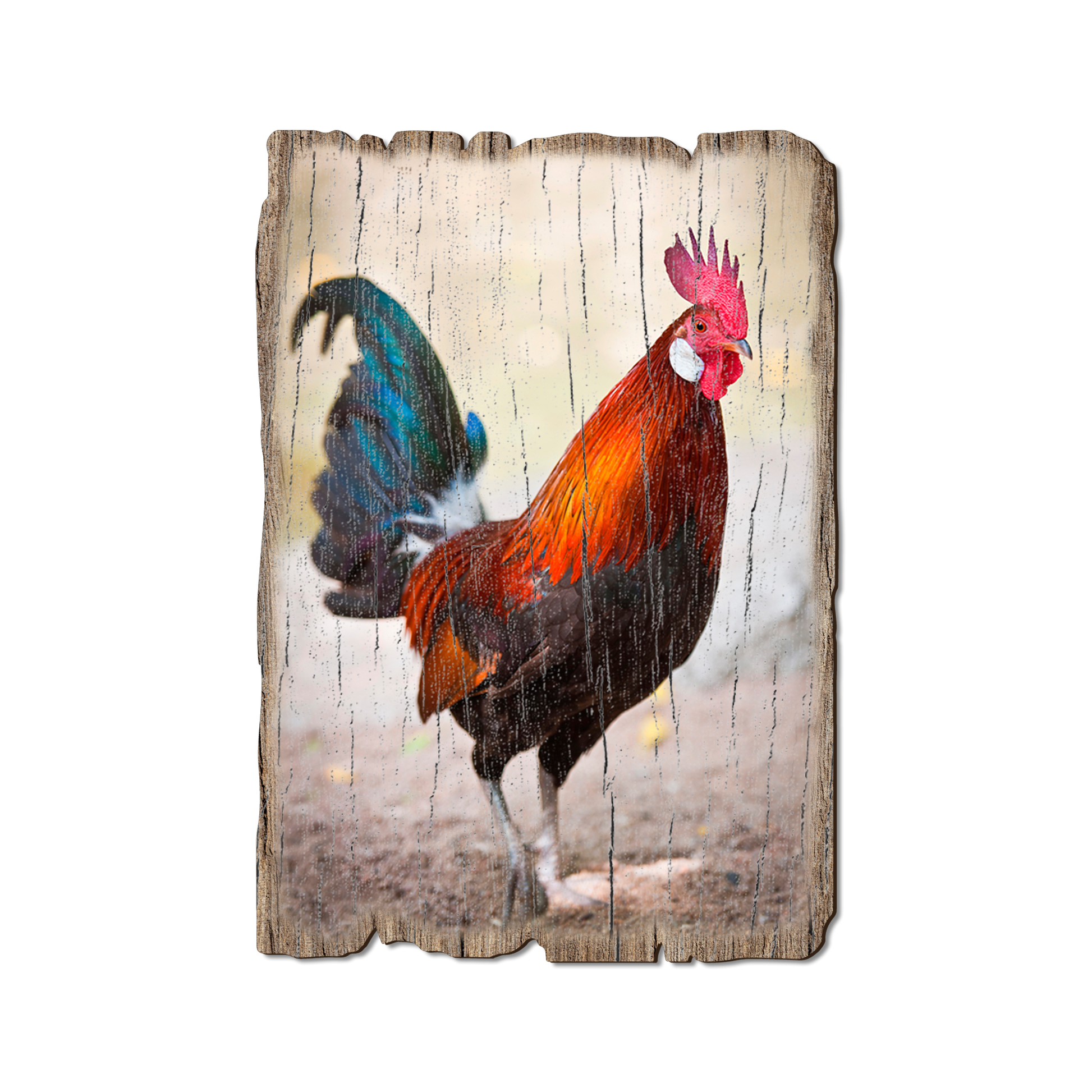 Ornament: Weathered Edge - Colorful Rooster (Pack of 5)