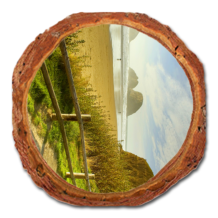 Coaster: Live Edge - Coastal Stroll