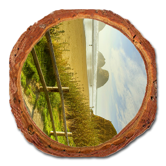 Coaster: Live Edge - Coastal Stroll