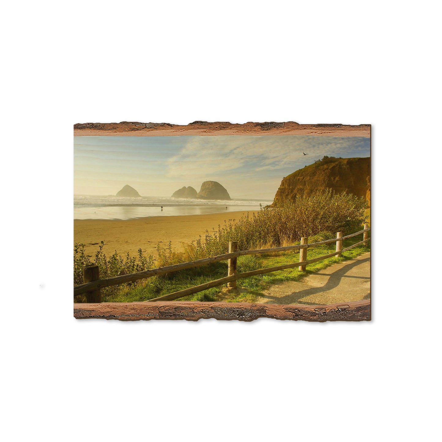 Coastal Stroll - Live Edge Magnet Live Edge Magnet (5pk // $2.80ea)