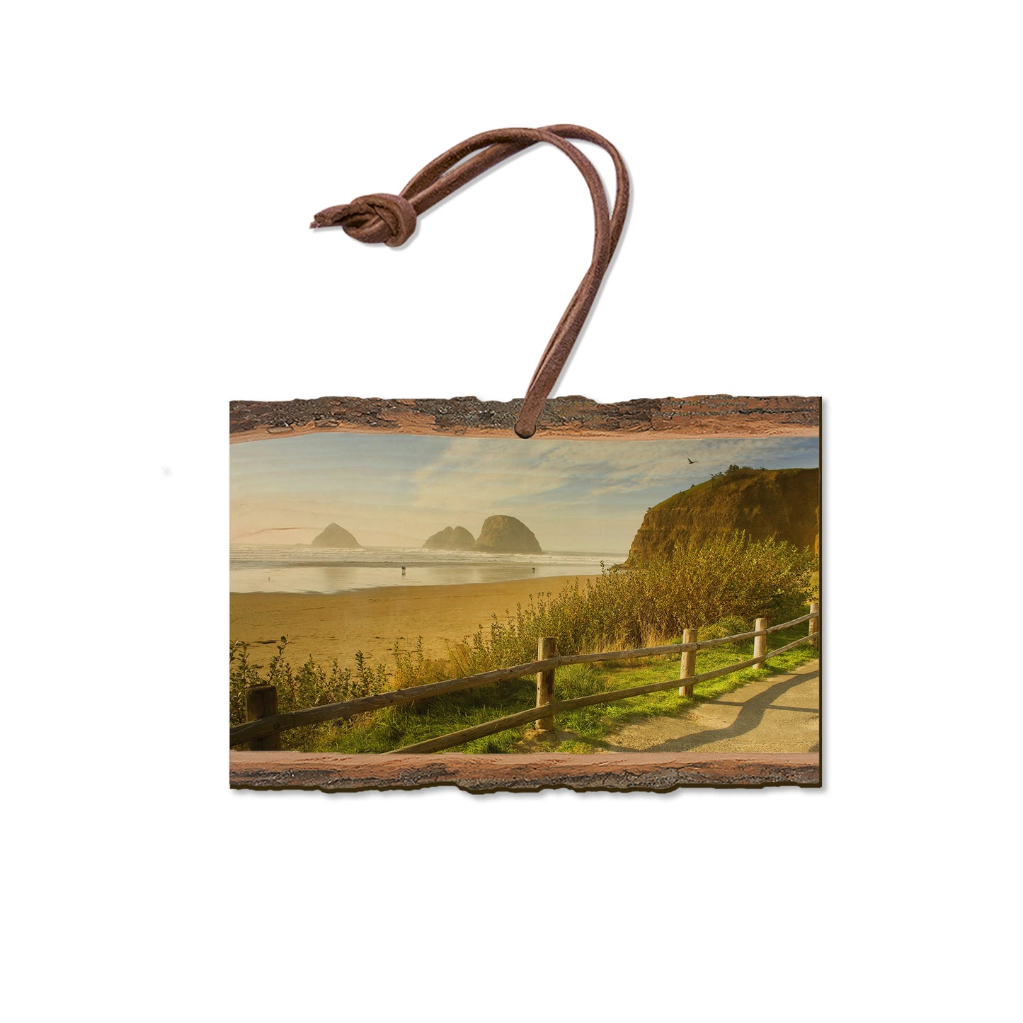 Coastal Stroll - Live Edge Magnet Live Edge Ornament (5pk // $2.80ea)