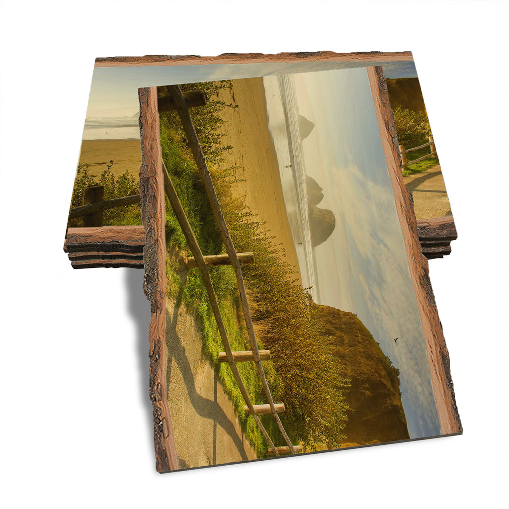 Coastal Stroll - Live Edge Live Edge Postcard (5pk // $2.80ea)