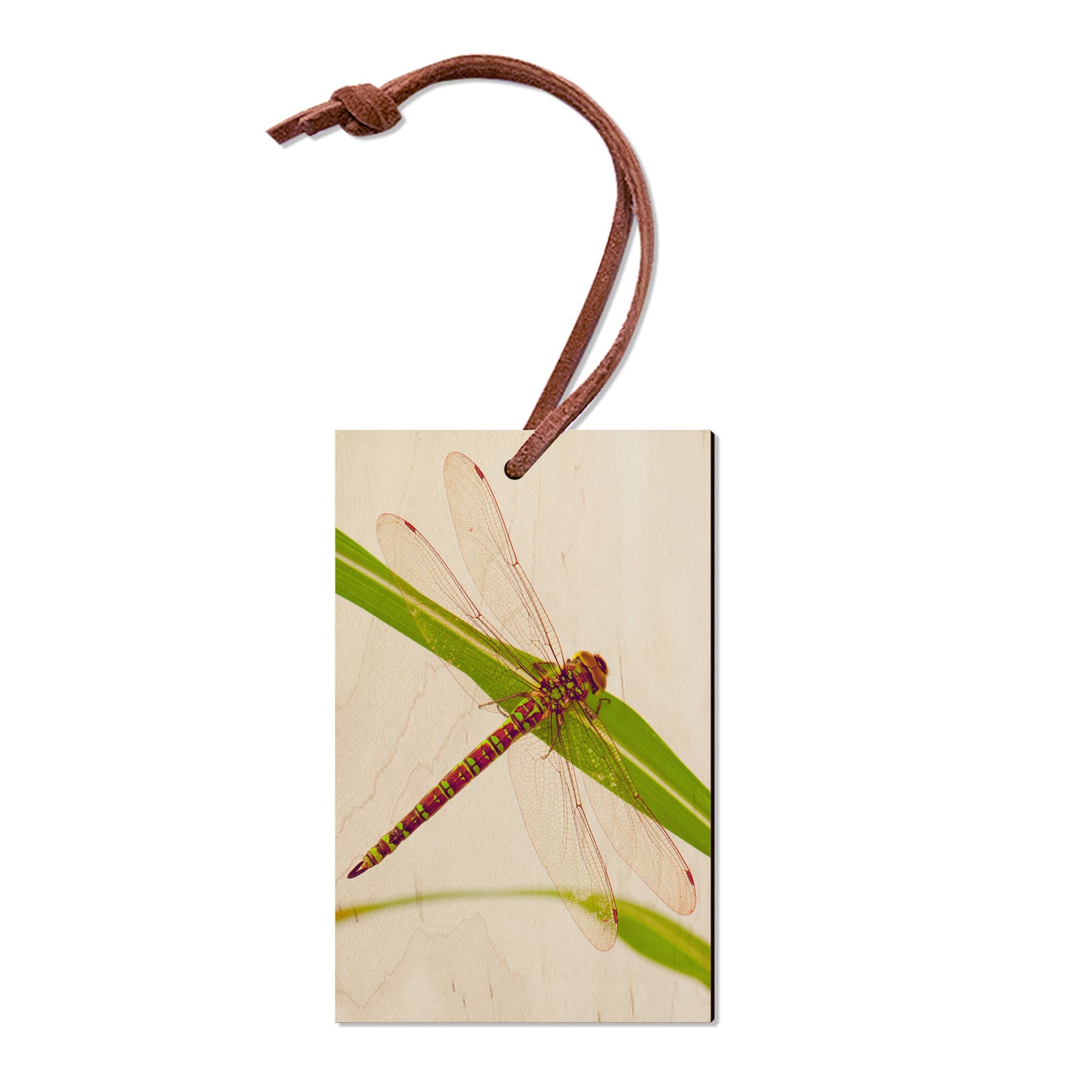 Dragonfly - Magnet Classic Edge Ornament (5pk // $2.80ea)