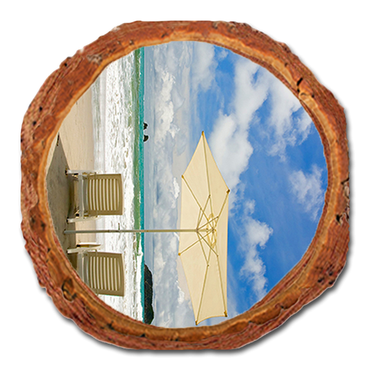 Coaster: Live Edge - Endless Summer (Pack of 5)