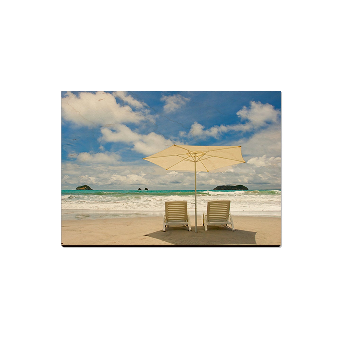 Endless Summer - Magnet Classic Edge Magnet (5pk // $2.80ea)