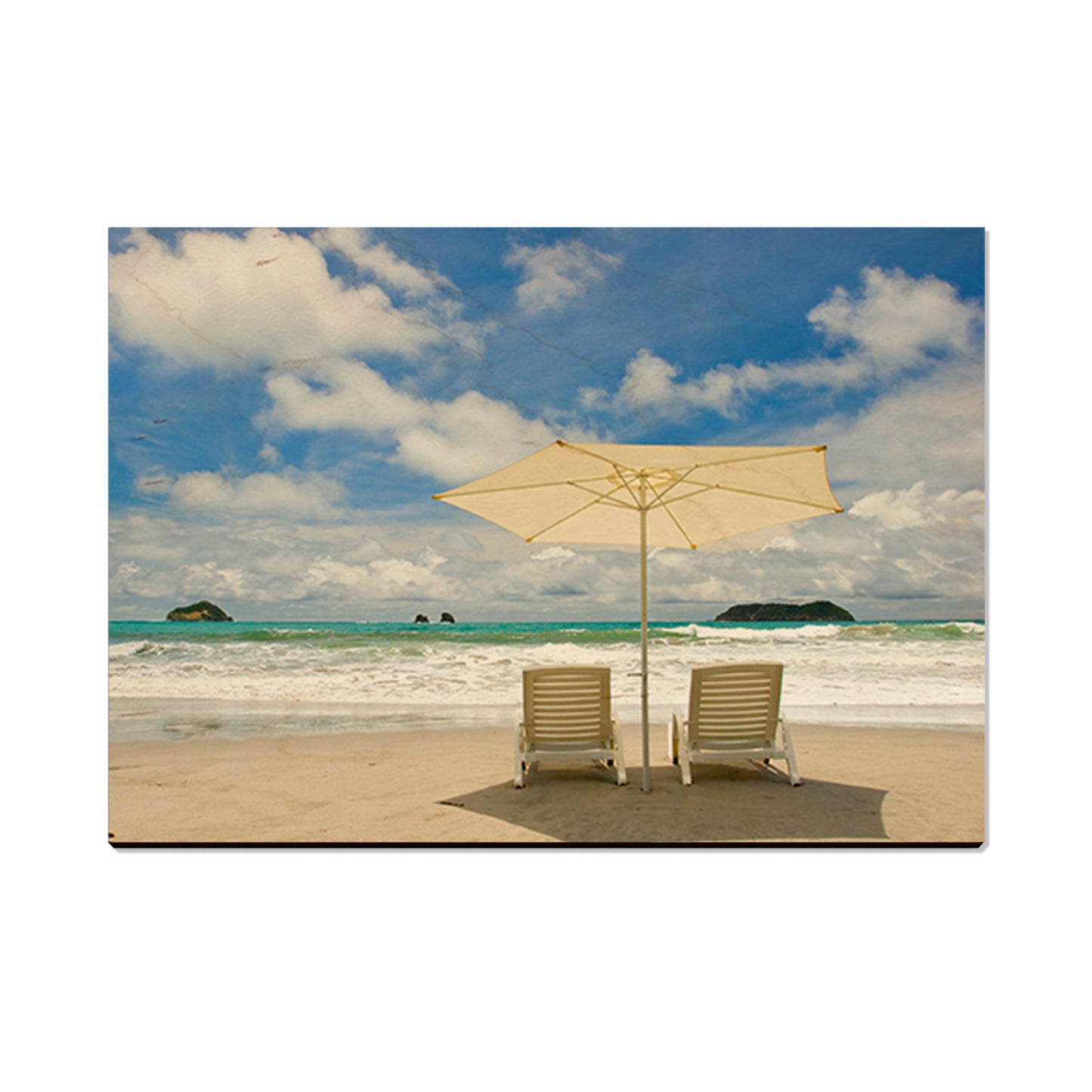 Endless Summer - Magnet Classic Edge Postcard (5pk // $2.80ea)