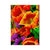 Full Bloom - Magnet Classic Edge Postcard (5pk // $2.80ea)