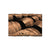 French Oak - Live Edge Magnet Live Edge Magnet (5pk // $2.80ea)