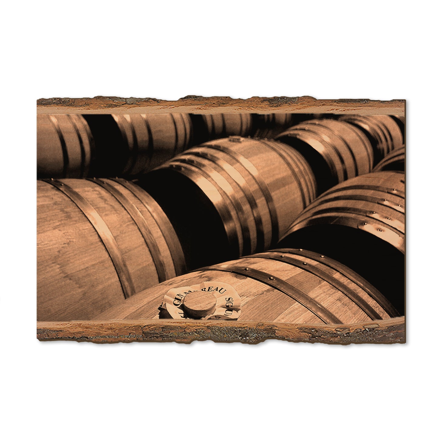 French Oak - Live Edge Magnet Live Edge Postcard (5pk // $2.80ea)