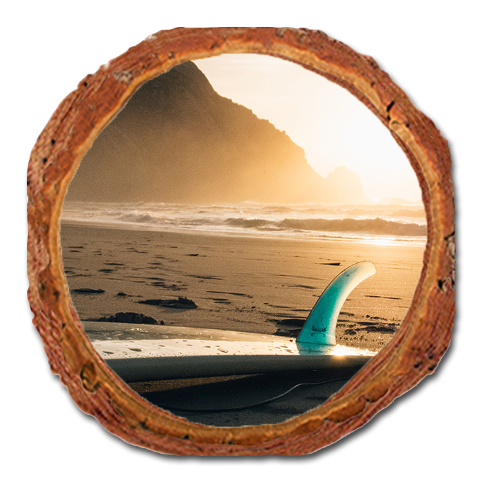 Coaster: Live Edge - Morning Skies (Pack of 5)