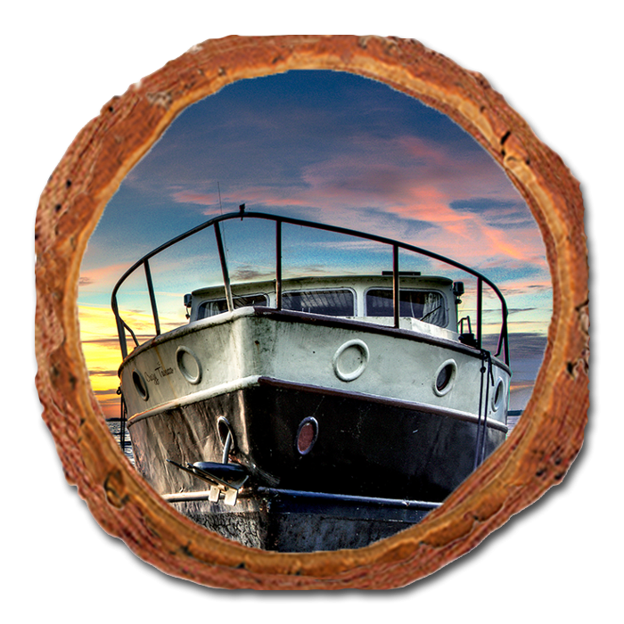 Coaster: Live Edge - Nautical Nights (Pack of 5)