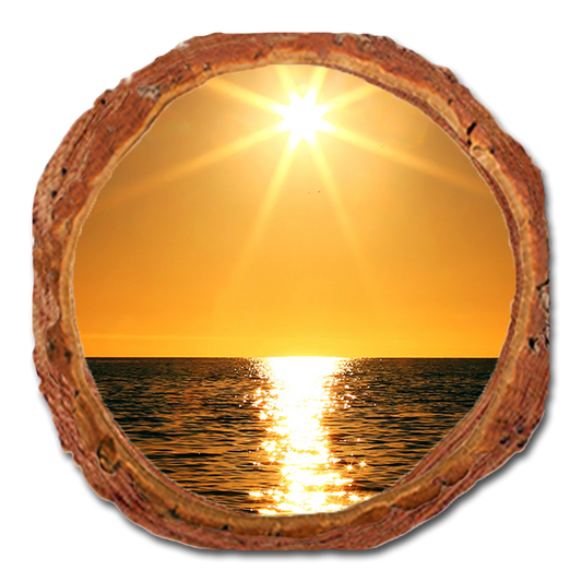 Coaster: Live Edge - Ocean Sun (Pack of 5)