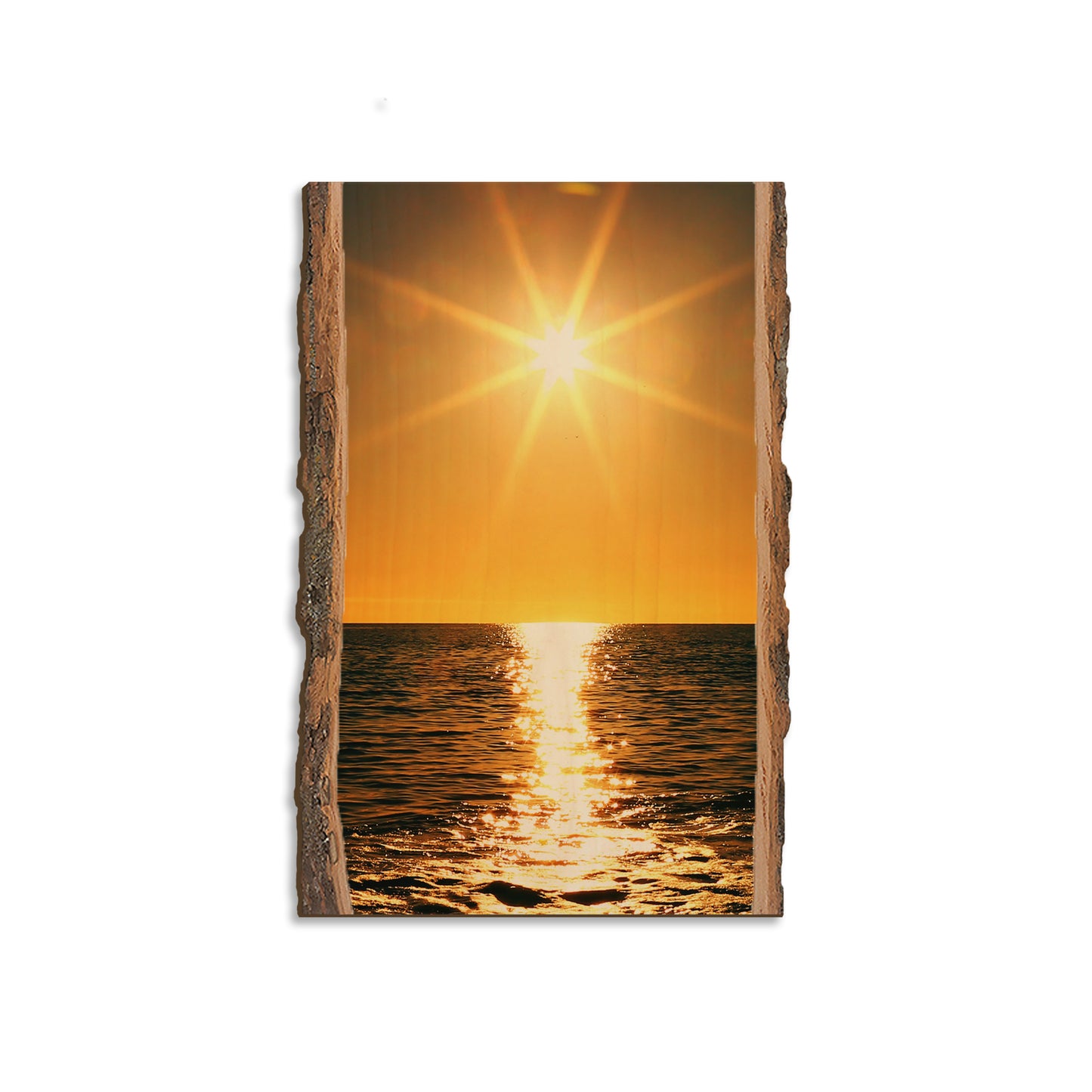 Ocean Sun - Live Edge Magnet Live Edge Magnet (5pk // $2.80ea)