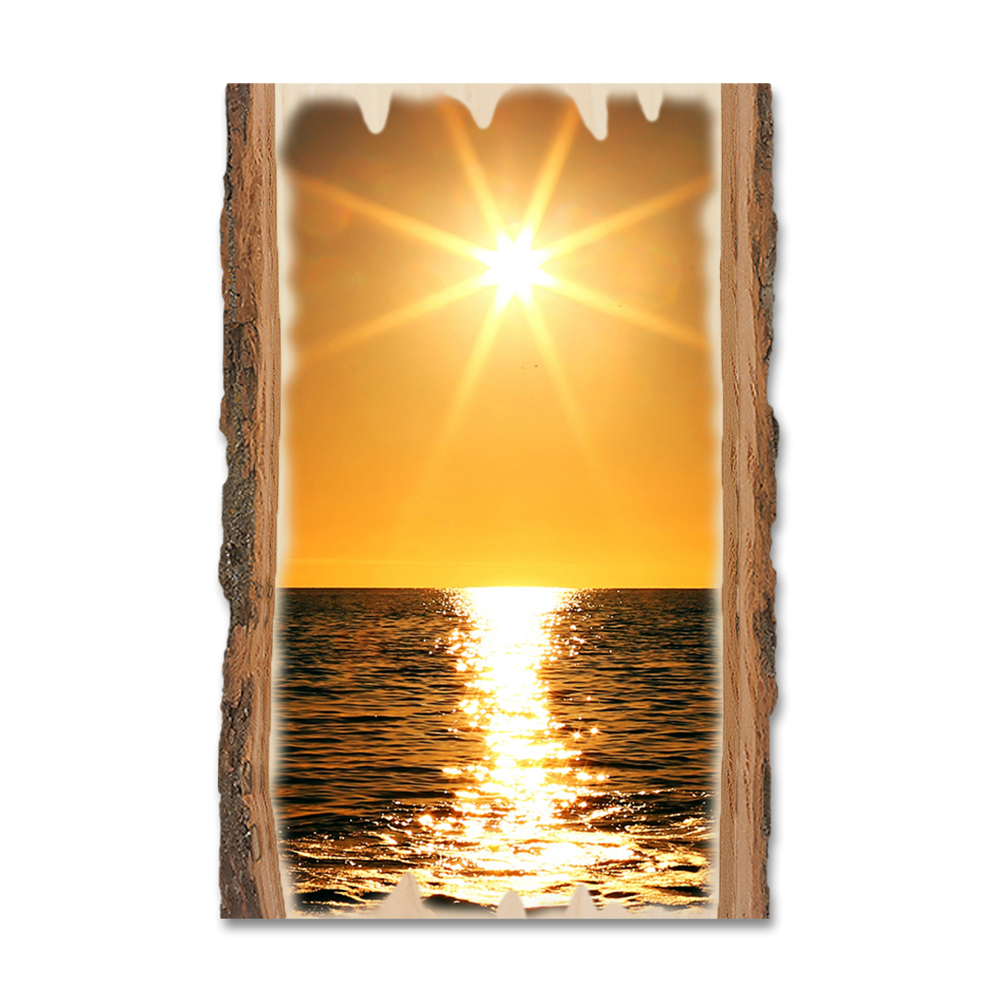 Magnet: Live Edge - Ocean Sun