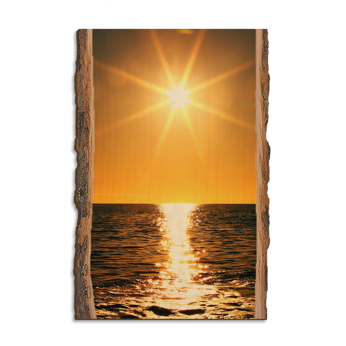 Ocean Sun - Live Edge Magnet Live Edge Postcard (5pk // $2.80ea)