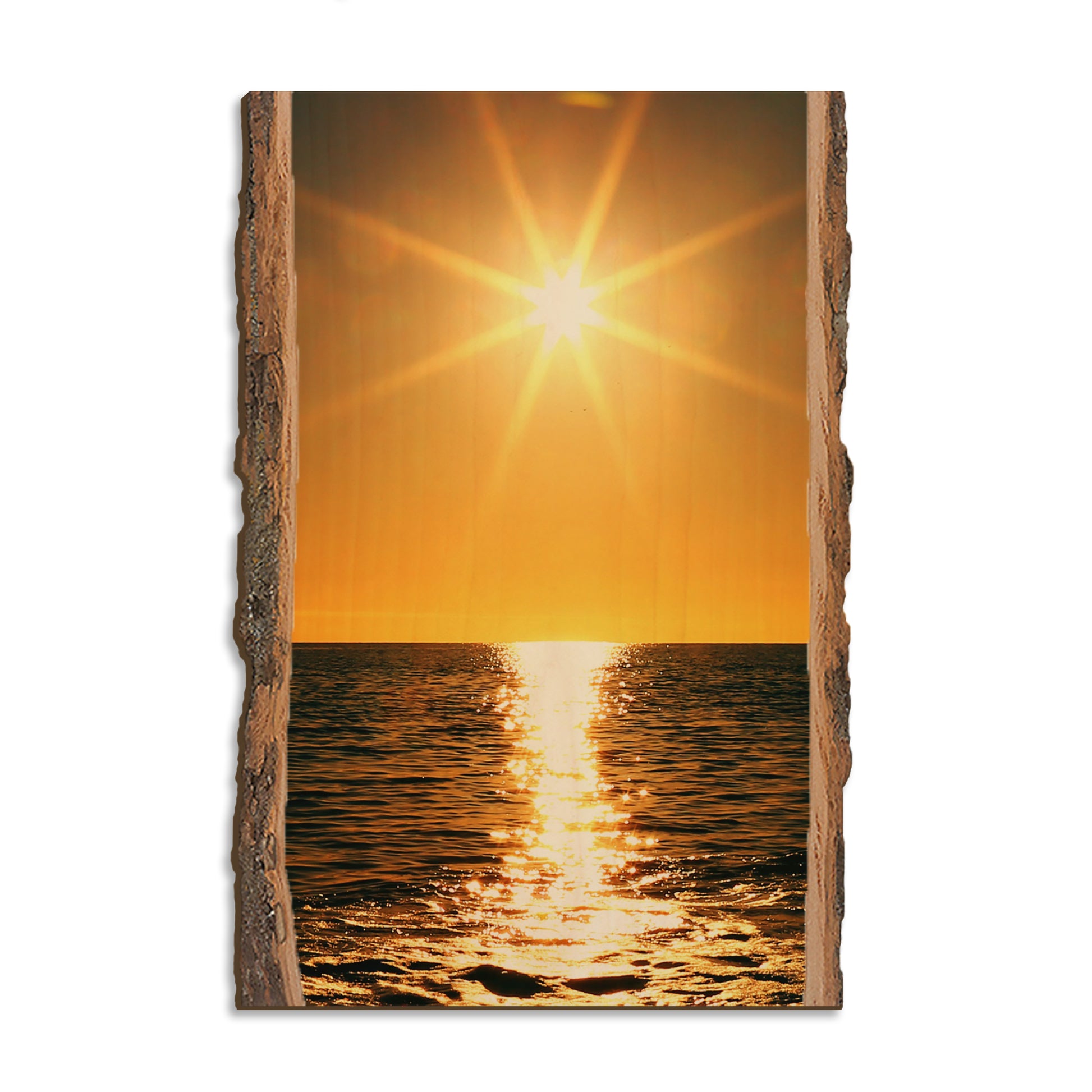Ocean Sun - Live Edge Magnet Live Edge Postcard (5pk // $2.80ea)