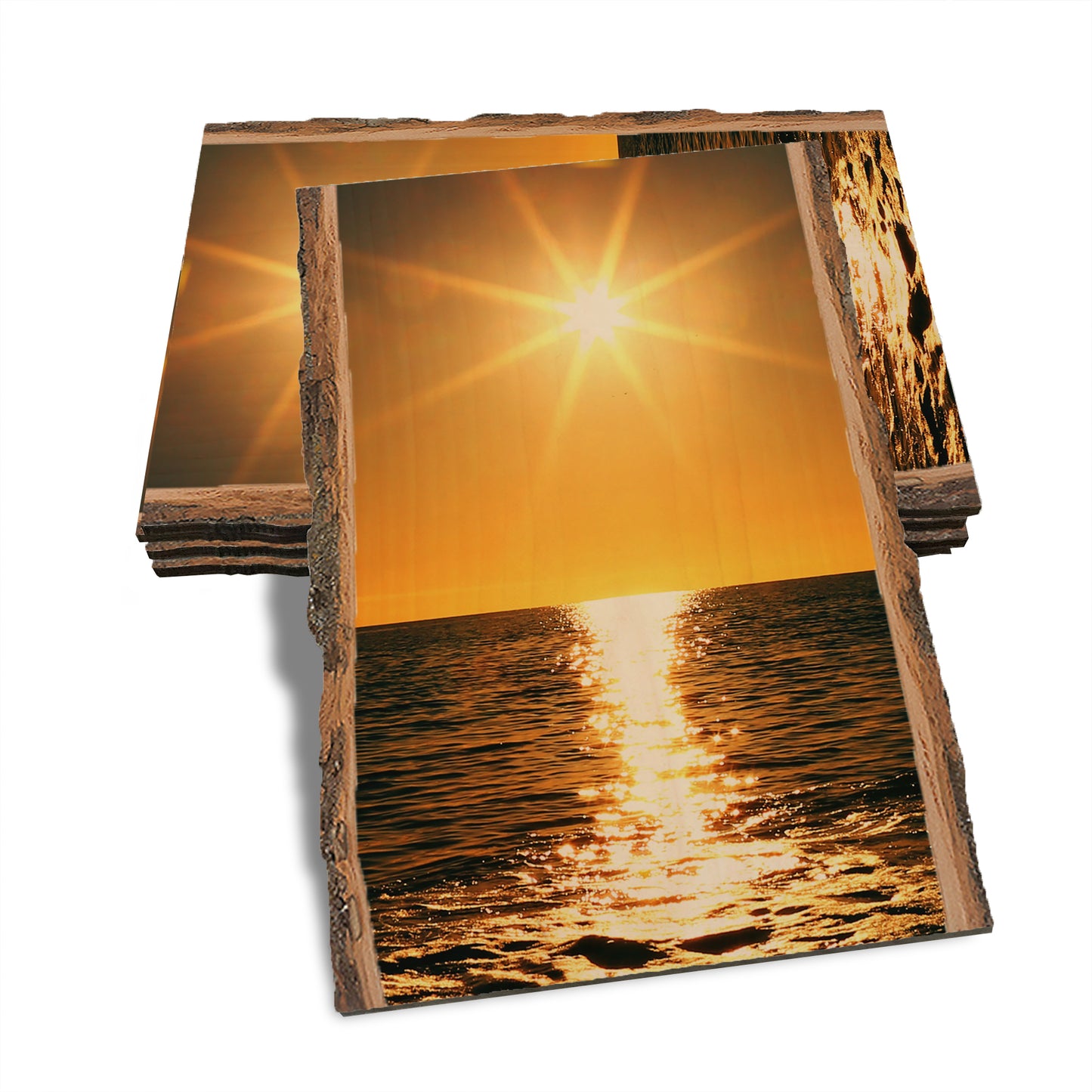 Ocean Sun - Live Edge Live Edge Postcard (5pk // $2.80ea)