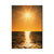 Ocean Sun - Magnet Classic Edge Postcard (5pk // $2.80ea)