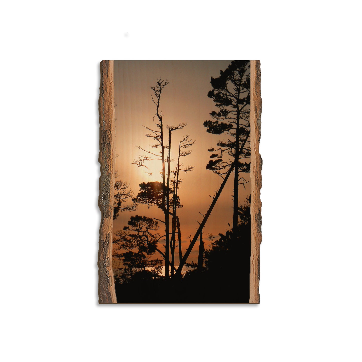 Ocean Forest - Live Edge Magnet Live Edge Magnet (5pk // $2.80ea)