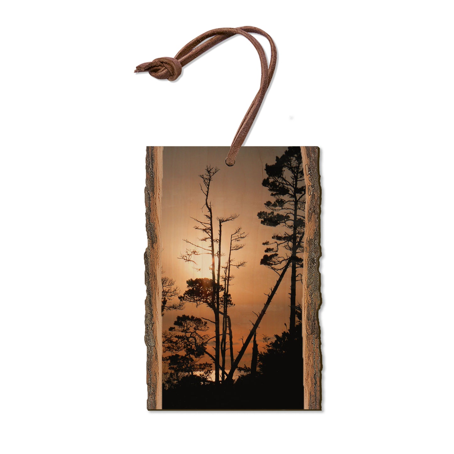 Ocean Forest - Live Edge Magnet Live Edge Ornament (5pk // $2.80ea)