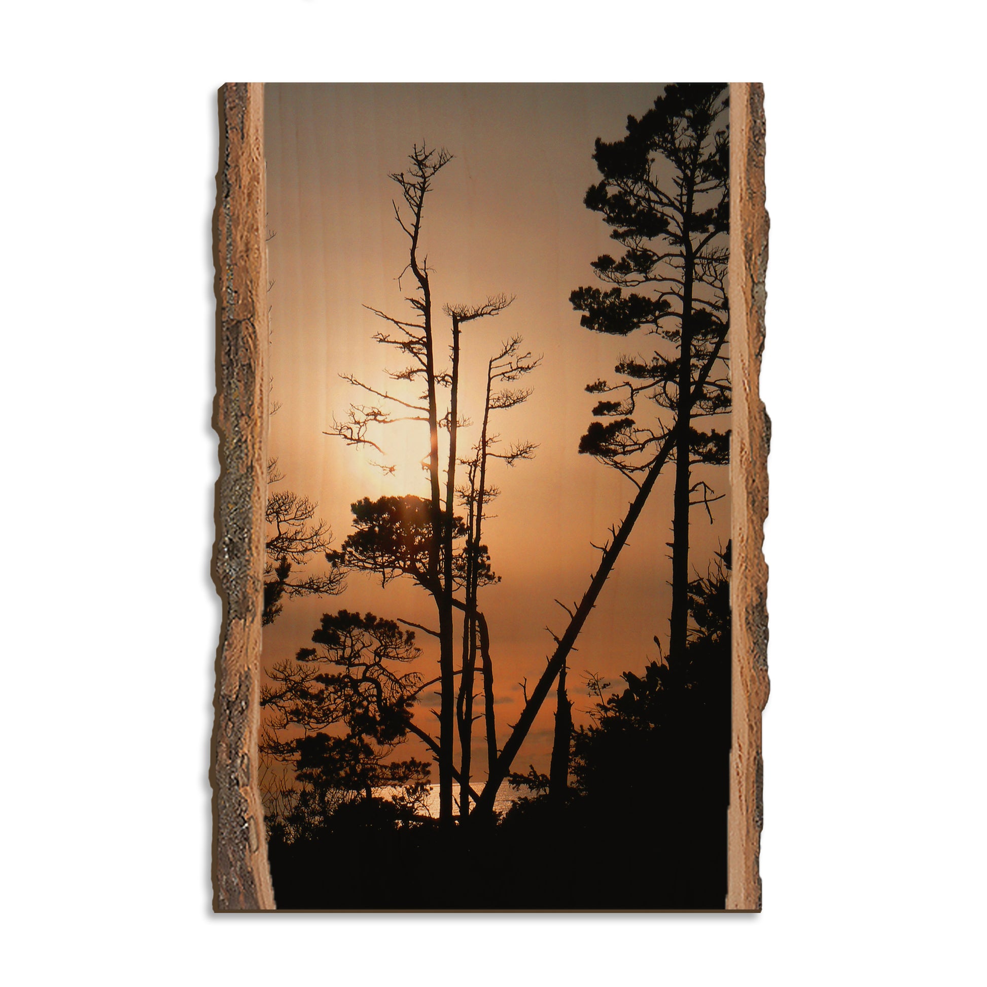 Ocean Forest - Live Edge Magnet Live Edge Postcard (5pk // $2.80ea)