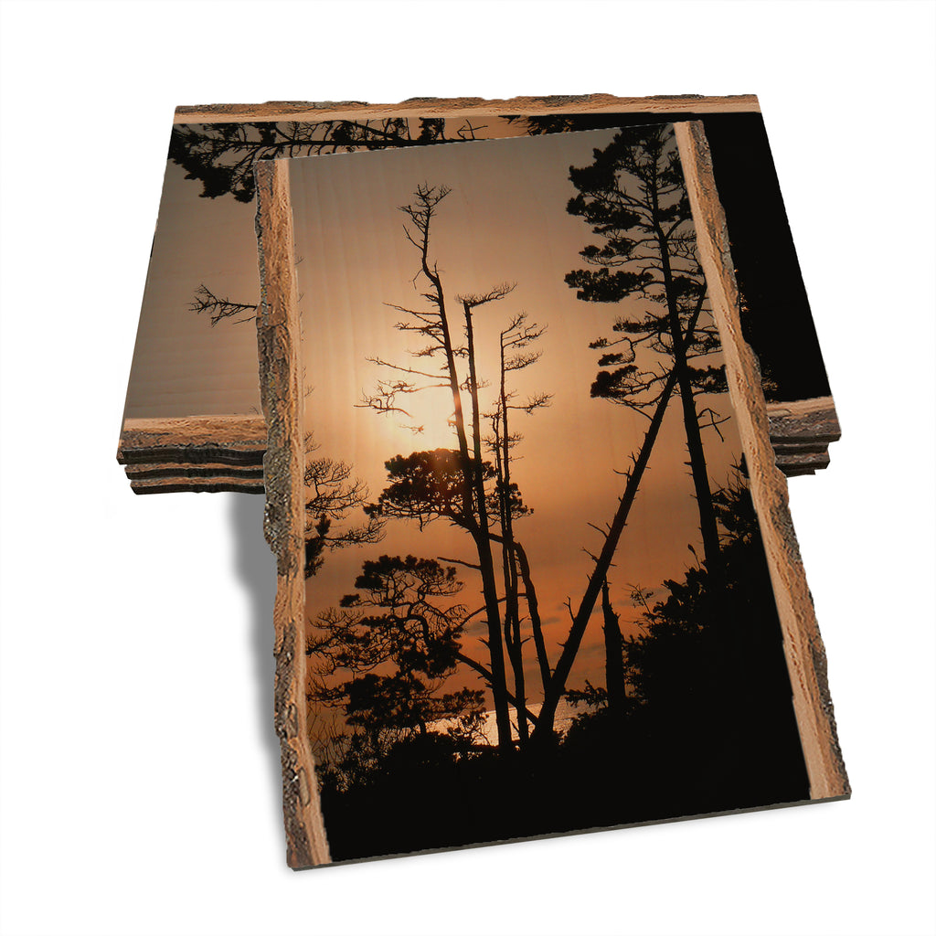 Ocean Forest - Live Edge Live Edge Postcard (5pk // $2.80ea)