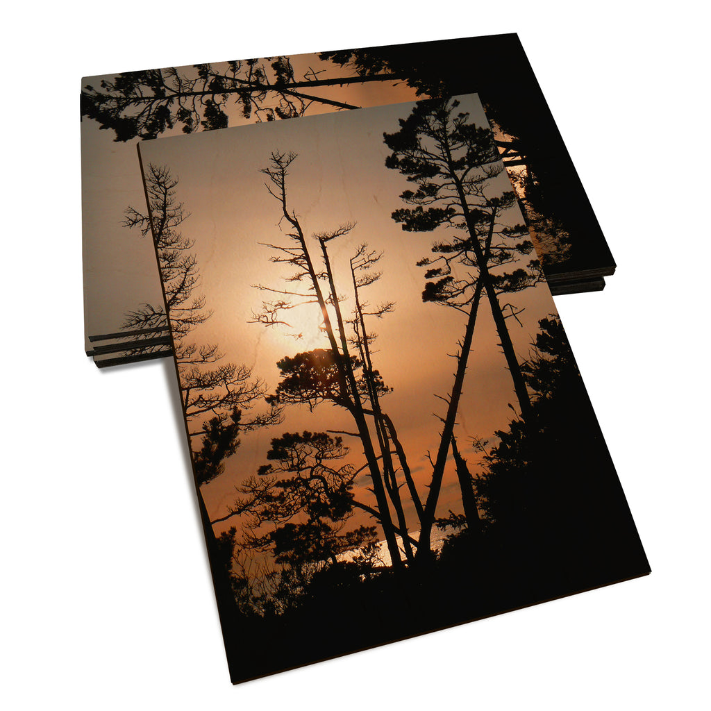 Ocean Forest - Classic Edge Classic Edge Postcard (5pk // $2.80ea)