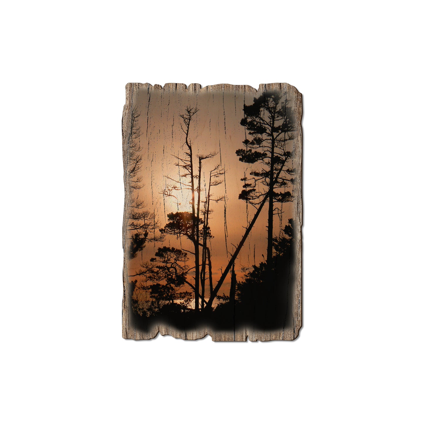 Ocean Forest - Weathered Edge Magnet Weathered Edge Magnet (5pk // $2.80ea)