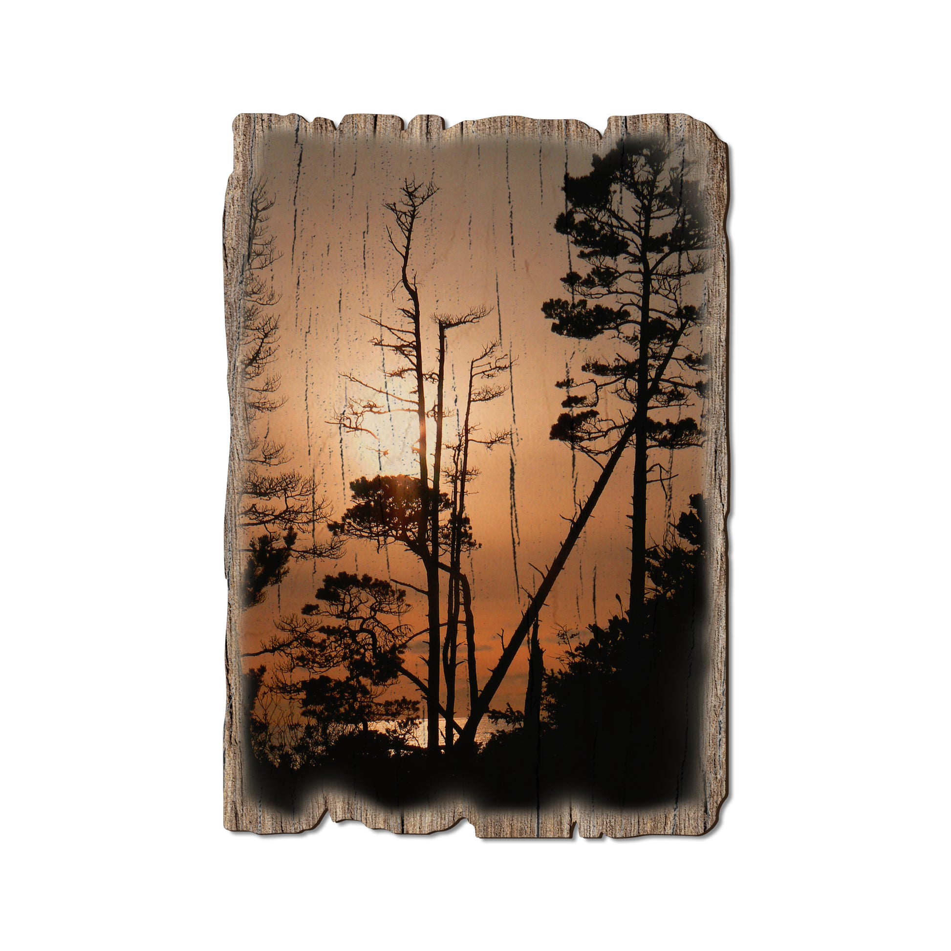 Ocean Forest - Weathered Edge Magnet Weathered Edge Postcard (5pk // $2.80ea)