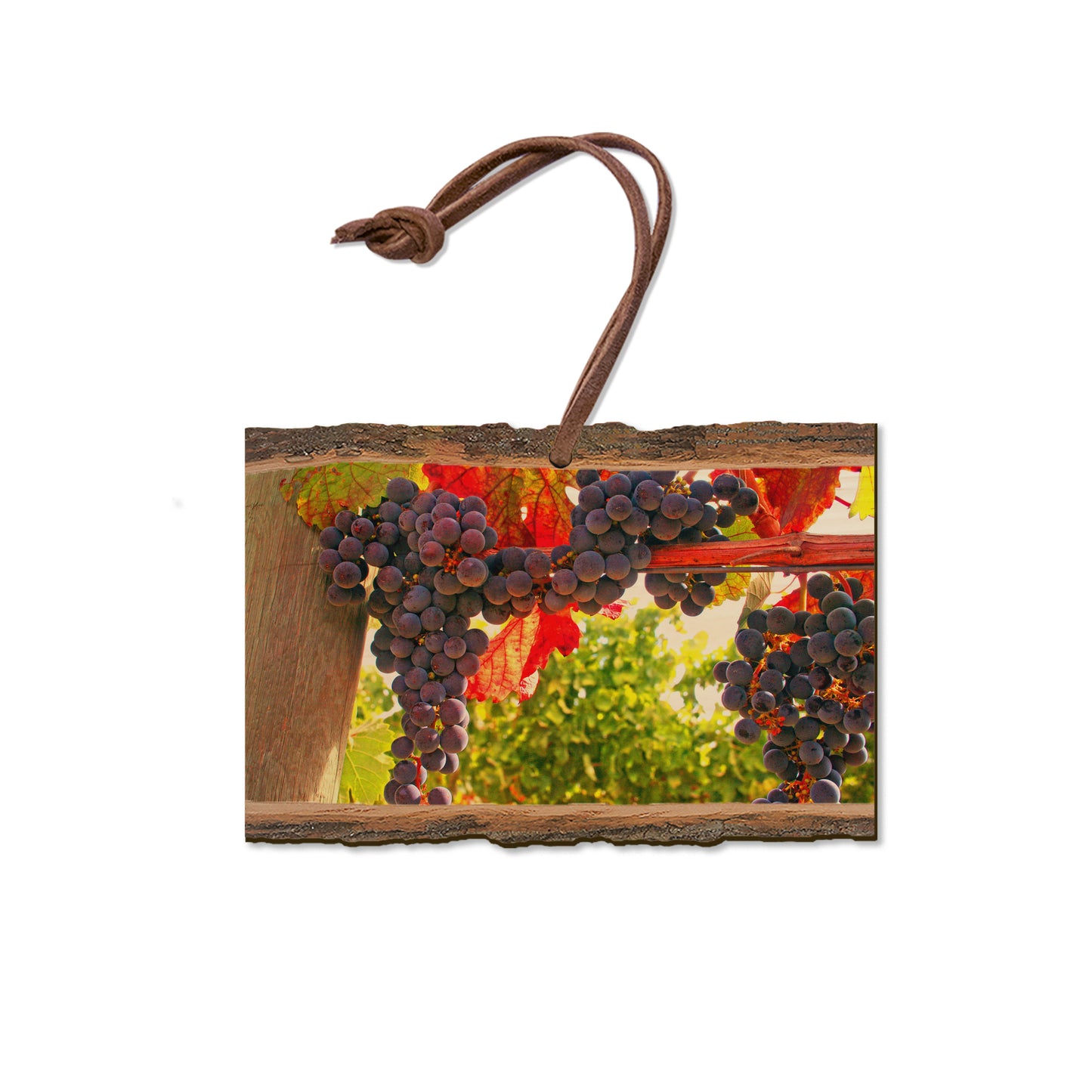Old Vines - Live Edge Magnet Live Edge Ornament (5pk // $2.80ea)