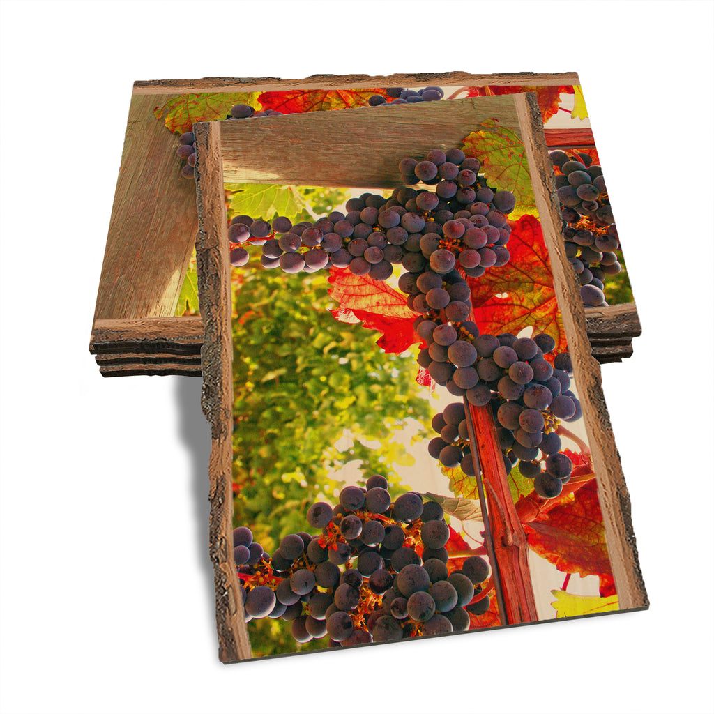 Old Vines - Live Edge Live Edge Postcard (5pk // $2.80ea)