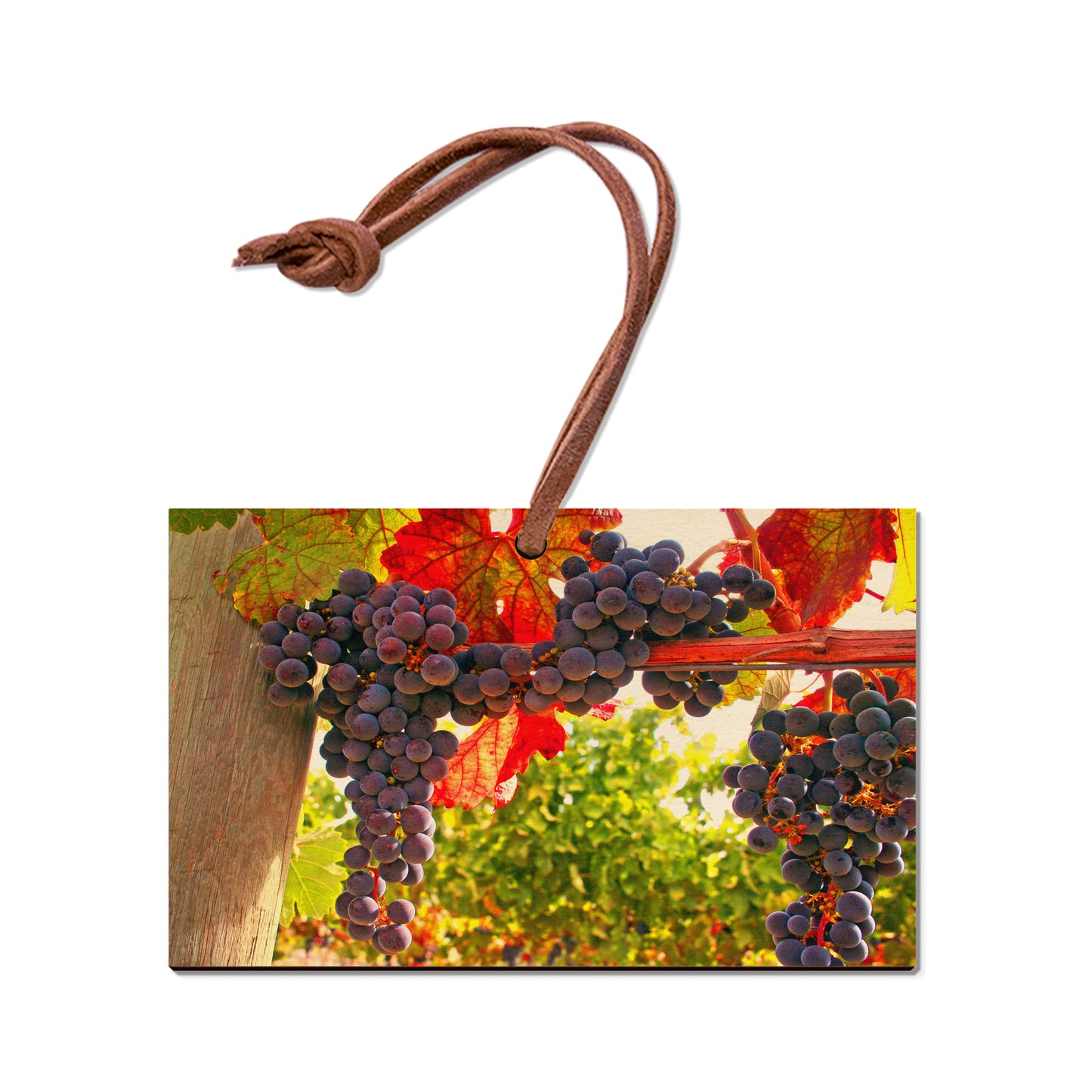 Old Vines - Magnet Classic Edge Ornament (5pk // $2.80ea)