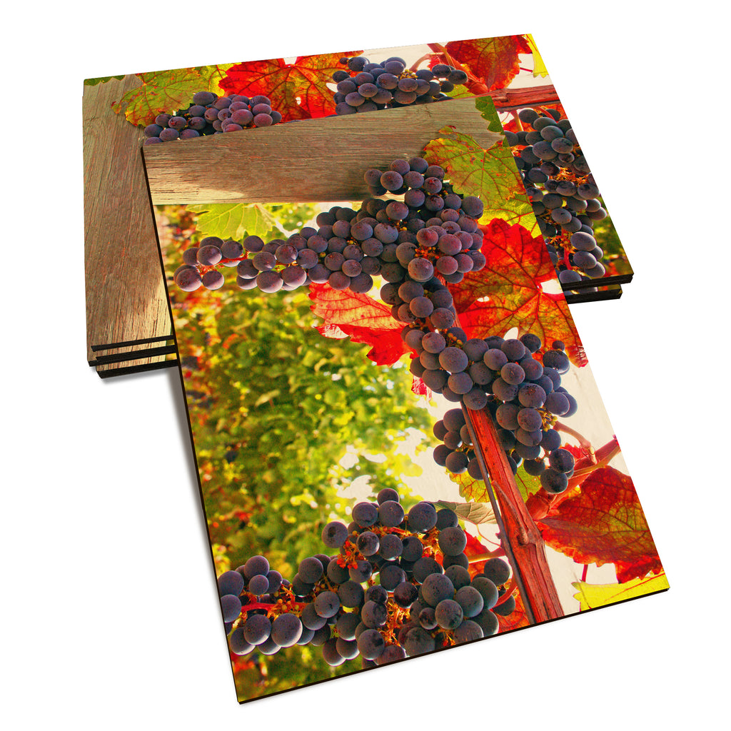 Old Vines - Classic Edge Classic Edge Postcard (5pk // $2.80ea)